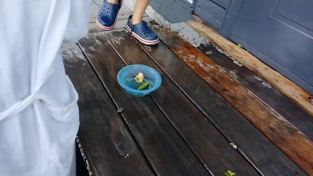 сумасшедший повар