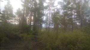 Северомуйск