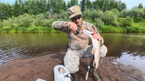 ЩУКИ ОТОРВАЛИ ВСЕ ПРИМАНКИ. РЫБАЛКА КОТОРАЯ МОЖЕТ ТОЛЬКО СНИТСЯ. МАЛАЯ РЕЧКА ГДЕ ЕСТЬ РЫБА.