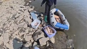 Полная лодка рыбы на паук подъемник