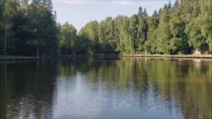 Утренний обзор с нижнего водоёма. Клёвое место, Лосиный остров.