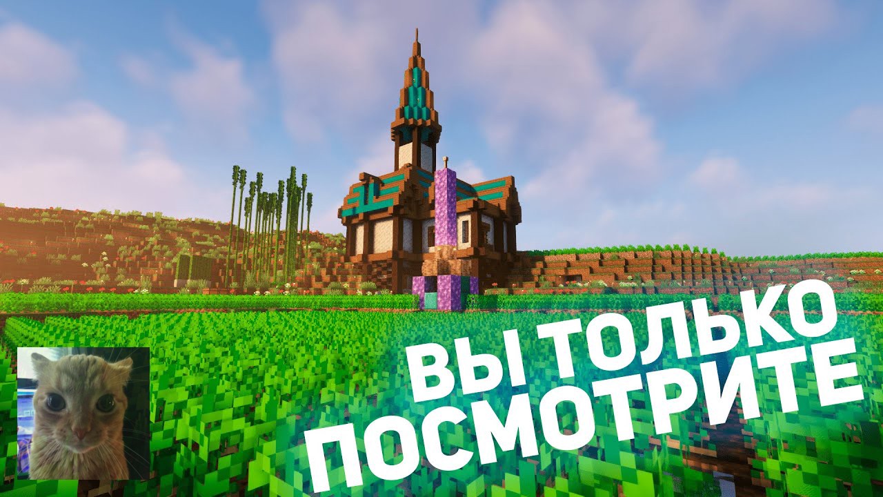 [Zako] СМОТРИМ, КАК ЖИВУТ ИГРОКИ МОЕГО СЕРВЕРА