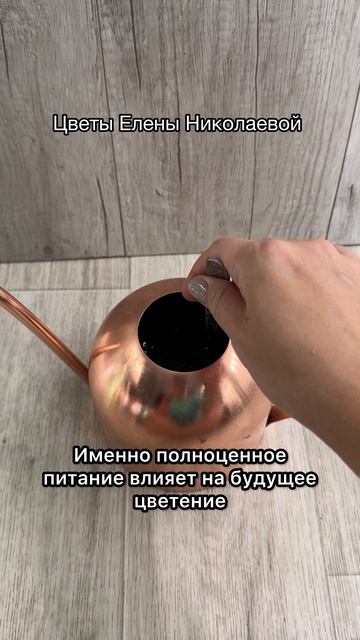 Ваша Герань выдает маленькие бутоны? Полейте так!