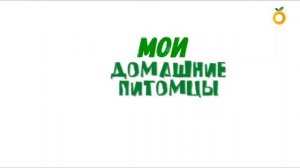 Ролик телестудии Абрикос набор 2026-2027