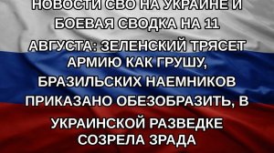 Новости СВО на Украине и боевая сводка на 11 августа: Зеленский трясет армию как грушу, бразильски