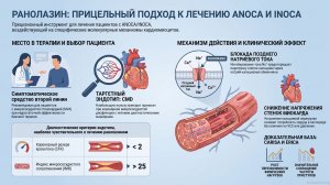 Ранолазин в современной терапии ANOCA и INOCA: от механизмов к клинической практике