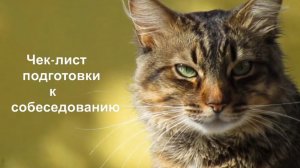 Чек‑лист подготовки к собеседованию: что я делаю за неделю до встречи. Танюшкины рассказы #16