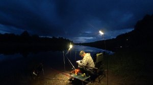 ОЧЕНЬ АКТИВНАЯ, ДАЖЕ УДОЧКИ ЛЕТЯТ СО СТОЕК! ДОНКИ НА ЖИВЦА СДЕЛАЛИ РЫБАЛКУ \ С ДРУГОМ НОЧЬ НА БЕРЕГУ