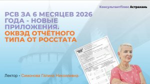 РСВ за 6 месяцев 2026 года - новые приложения. ОКВЭД отчётного типа от росстата