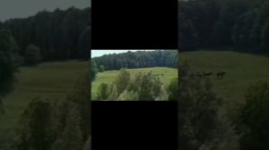 Я Люблю, а значит я Живу! Высоцкий Владимир