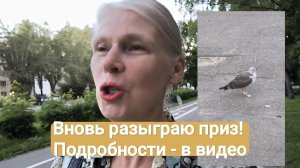 Розыгрыш. Одно место свободно!