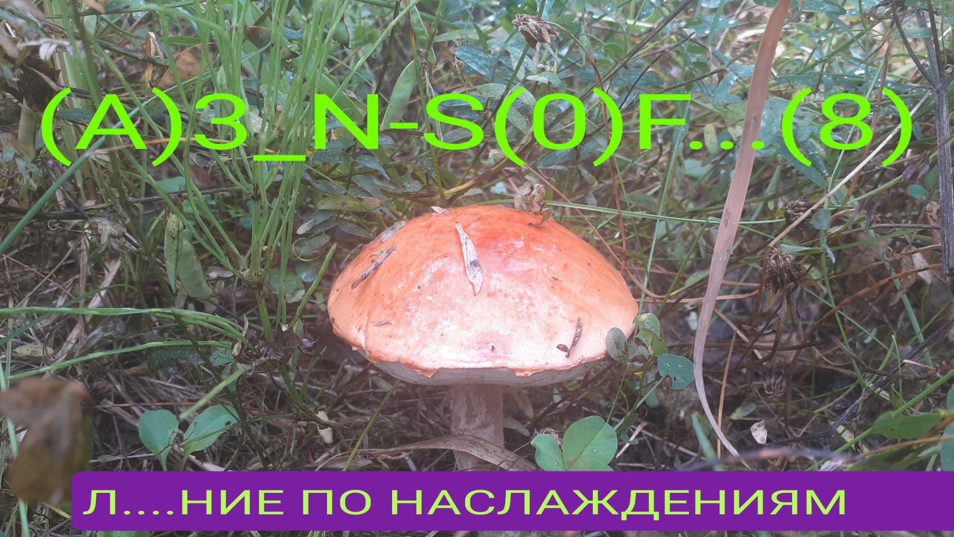 ЛЕНОБЛАСТЬ_Л...АНИЕ ПО НАСЛАЖДЕНИЯМ_100826-(А)3_N-S0F...(8)