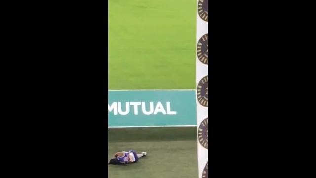 ультра марафон Комрадс Comrades 2026 100 км за 12 часов