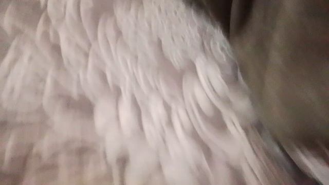 эсипи 1000000