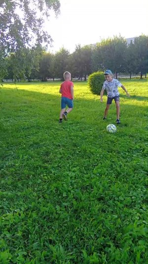 шога