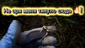 Не зря меня тянуло туда! Хожу за строительной техникой и собираю находки