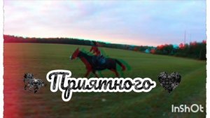 заставка на канал ❤️🐎