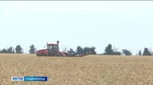 Урожай зерновых на Ставрополье превысил девять миллионов тонн