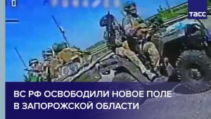 ВС РФ освободили Новое Поле в Запорожской области