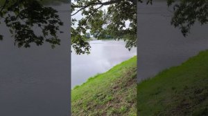 Звени, струна моя