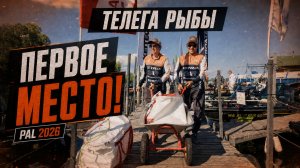Первое место! Привезли телегу рыбы | PAL 2026