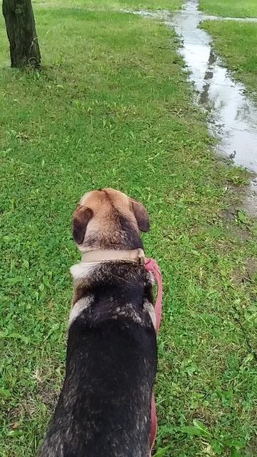 погода из Санкт-Петербурга