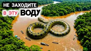 Речные МОНСТРЫ: которые охотятся на людей!