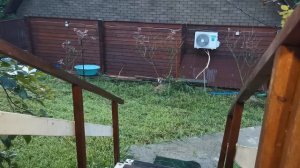VID_20260811_055115[1]