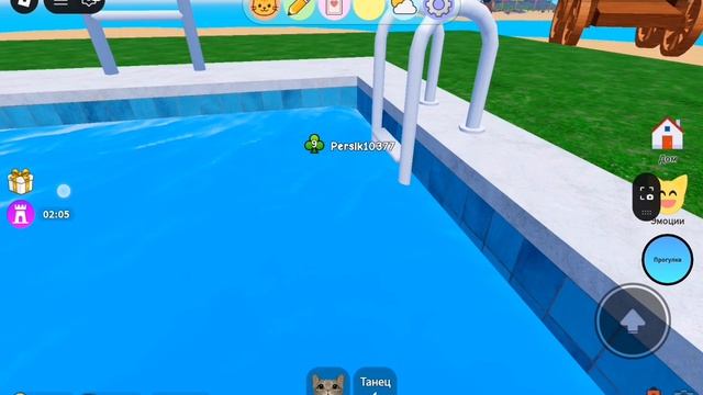 SVID_20260811_125846_1.mp4