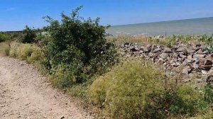 ЕЙСК  ПРОГУЛКА ПО ДИКИМ ПЛЯЖАМ КАМЕНКА
