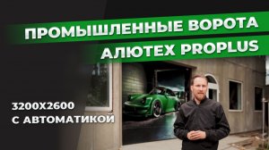 Промышленные ворота Алютех Proplus 3200x2600 с автоматикой