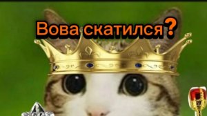 разбор ситуация с Вовой и кесси