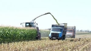 В районе продолжаются сельскохозяйственные уборочные работы .