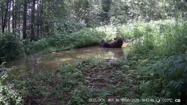 Водные процедуры.