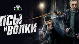 Псы и волки