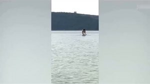 Всячинки