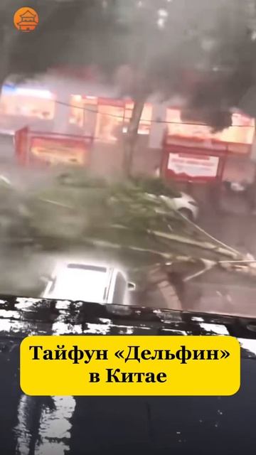 🌀Тайфун «Долфин» обрушился на Китай🇨🇳