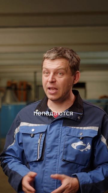 Что лучше купить за 5 млн: квартиру или УЗВ-ферму? Доходность отличается в 10 раз!