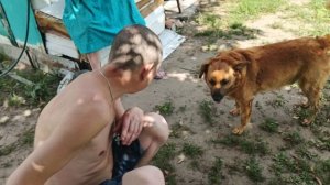 Солинка!🦮🐶🐕