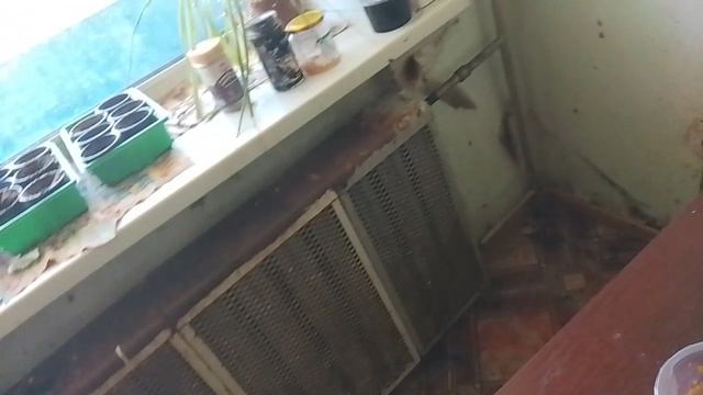 3222.mp4
