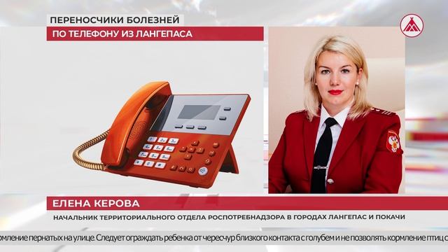 Голуби переносчики болезней