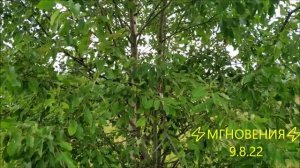 ⚡МГНОВЕНИЯ⚡ 9.8.22