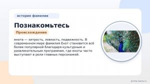 Познакомьтесь с историей и происхождением фамилии Енот: ключевые моменты и склонение для удачного