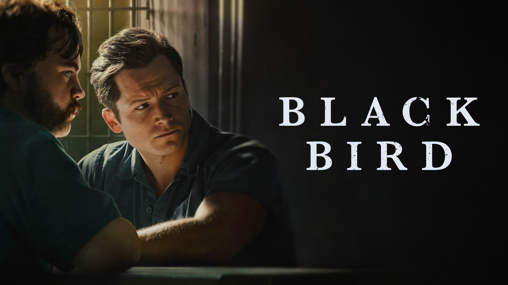 Черная птица (сериал, 2022) / Black Bird