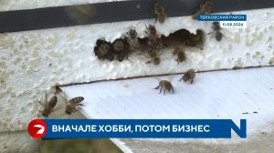 Семья Тимаевых занимается пчеловодством в Тейковском районе более 30 лет