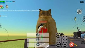 играю на серваке вовы