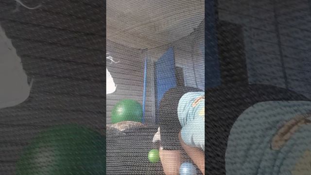 Развивашки для малышей от 0+ до 10ти