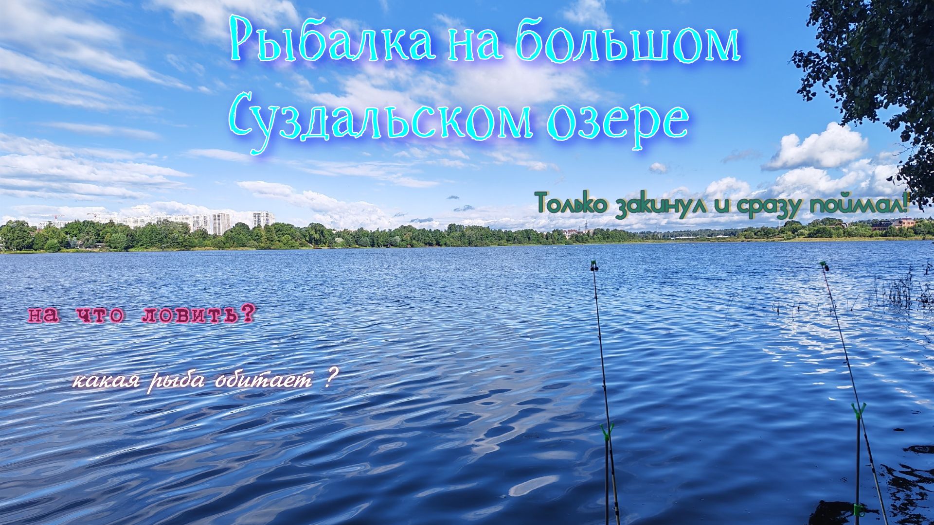 Рыбалка в большом Суздальском озере СПБ!