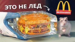 SlivkiShow - КАК СОХРАНИТЬ БУРГЕР ДО СЛЕДУЮЩЕГО ГОДА