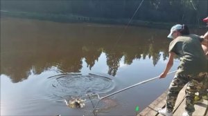 Поимки карпа на верхнем водоёме. Клёвое место, Лосиный остров.
